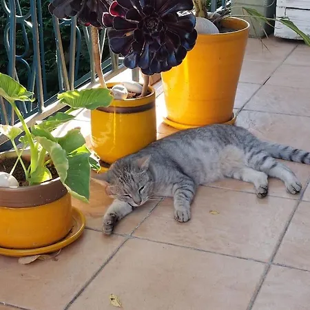 Tatil Evi Chez Moi Rennes